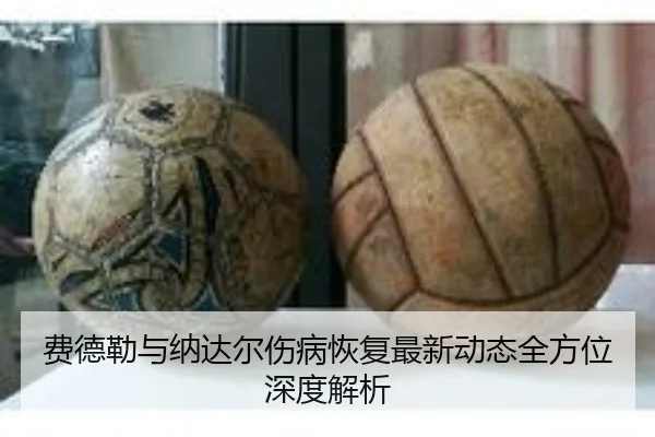 费德勒与纳达尔伤病恢复最新动态全方位深度解析
